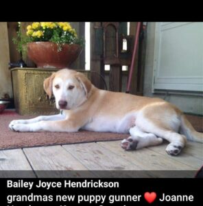 Joanne Heath